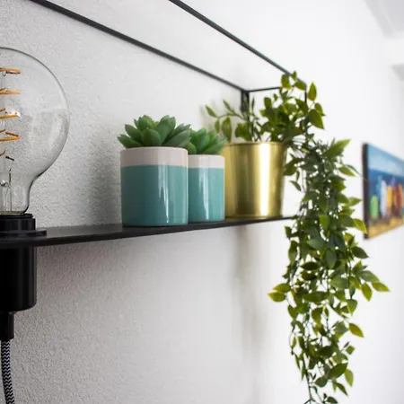 Zeezand * Egmond aan Zee