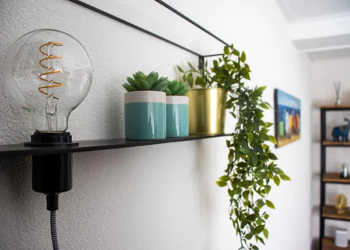 Zeezand * Egmond aan Zee